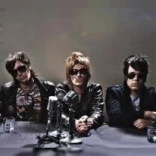 The Strays