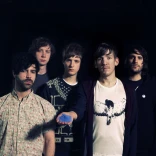 Foals
