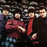 The Standells
