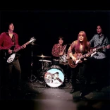 The Grip Weeds
