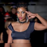 Dutch Rebelle