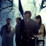 Guillemots