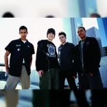 The Dingees