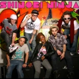 Shinobi Ninja