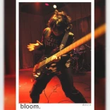 bloom.