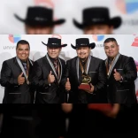 Los Palominos