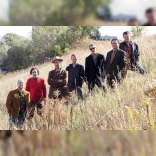 The Honeydogs