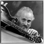 The David Grisman Bluegrass Experience