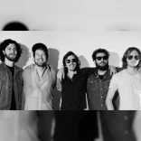 The Stone Foxes