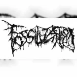 Fossilization