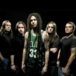 Shadows Fall