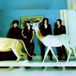 Living Things