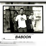 Baboon