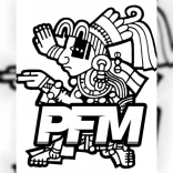 PFM