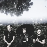 PVRIS