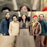 The Mammals