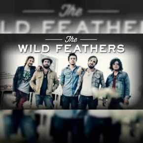The Wild Feathers
