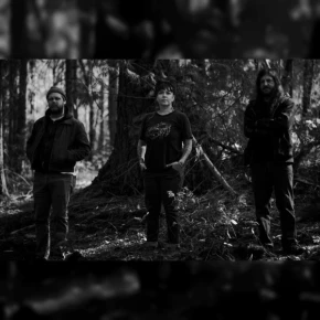 Desiccation