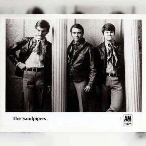 The Sandpipers