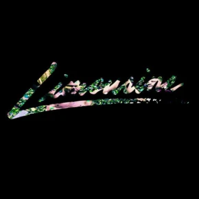 Limousine