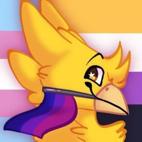 Ima