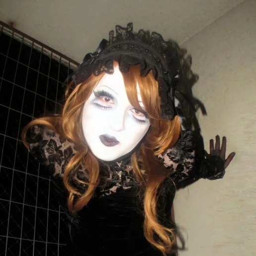 Arachnida
