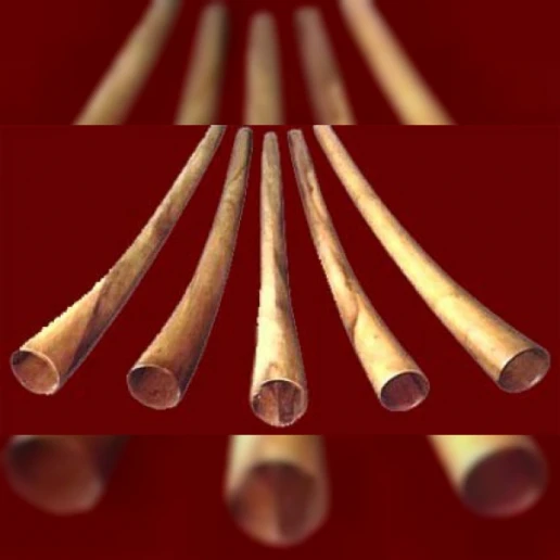 Didgeridoo