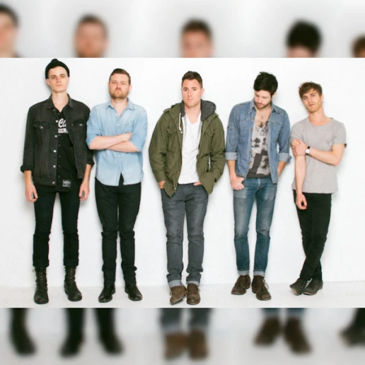 Wild Cub