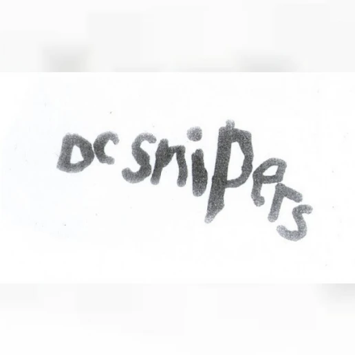 DC Snipers