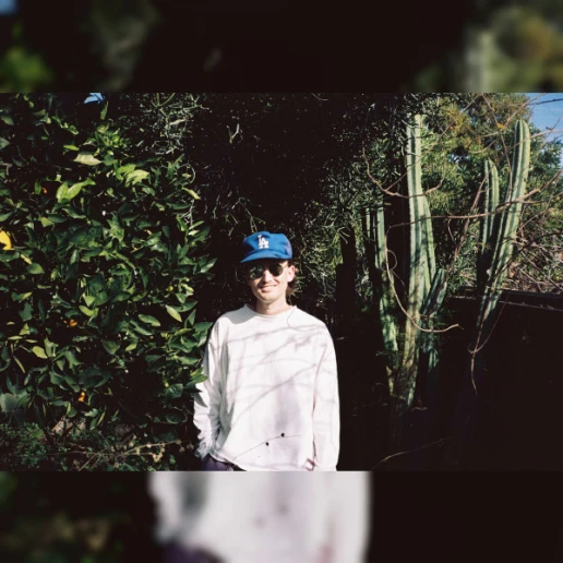 Gnash