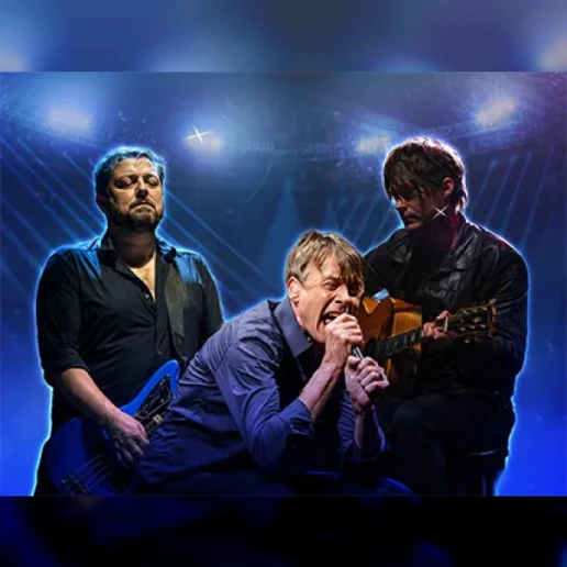 Pstereo Festival: Suede