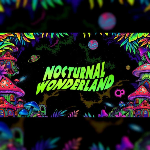 Nocturnal Wonderland