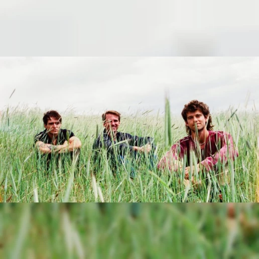 The Moss