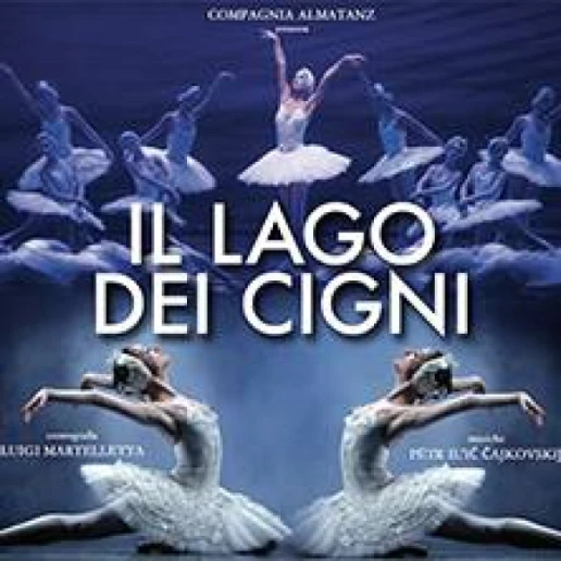 Il lago dei cigni