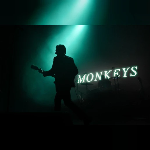 Antarctic Monkeys