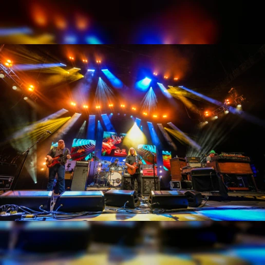 Govt Mule