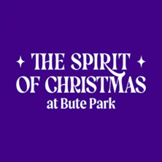 Christmas at Bute Park - Off Peak