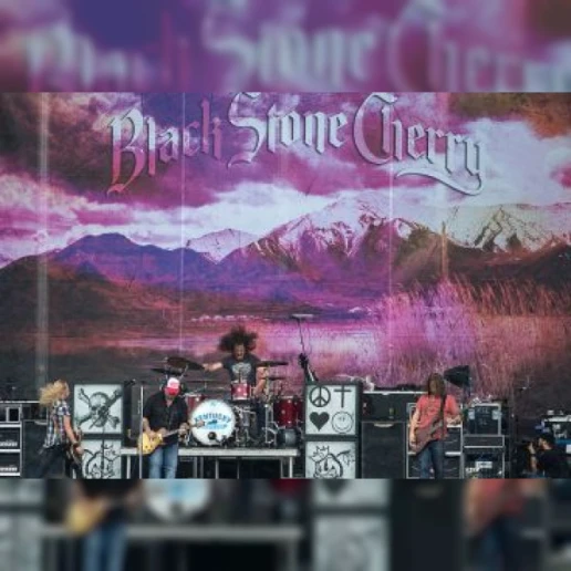 Black Stone Cherry