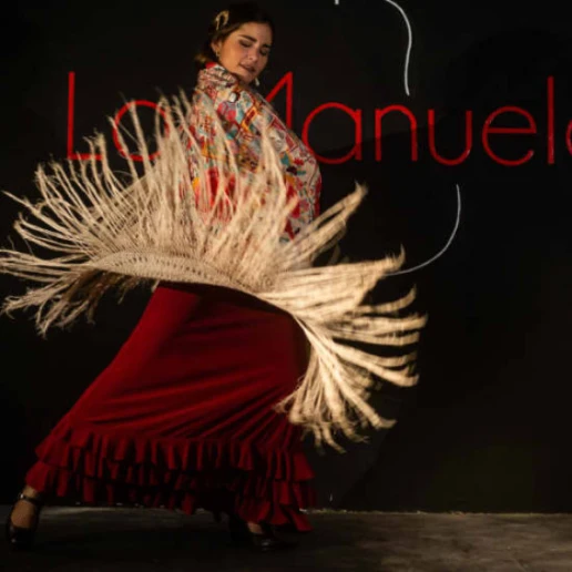 Tablao La Manuela: show de flamenco