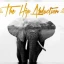 The Hip Abduction