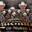 Cardenales de Nuevo Leon