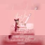 NAOMI JON - STRAWBERRY TOUR - EUROPE 2026