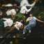 Young the Giant w/ Cold War Kids