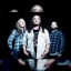 Carcass