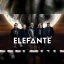 Elefante: 30 Aniversario