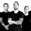 Raised Fist