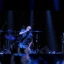 Social Distortion with Descendents