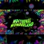 Nocturnal Wonderland