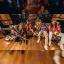 Fishbone - In Your Face 40th Anniversary Australian Tour