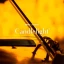 Candlelight: Tribute to Drake